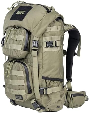 Amazon.com | Mystery Ranch Blitz 30 Backpack – Weather-Resistant